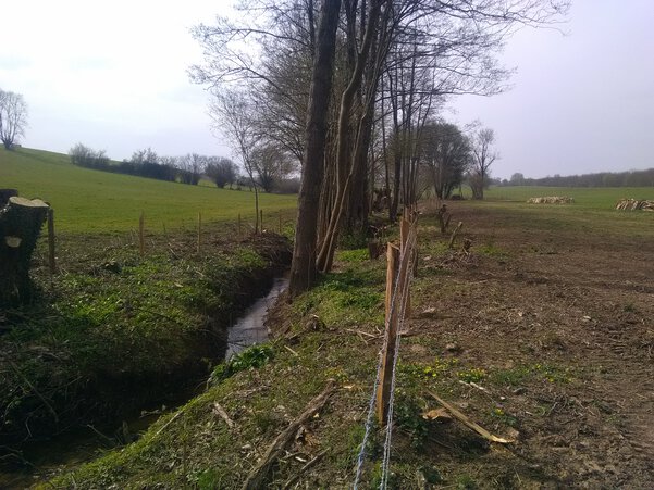 Aménagement de clôtures sur le Bouillonnay