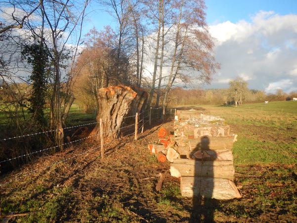 Pose de clôtures suite à la restauration de la ripisylve